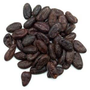 Fèves de cacao naturelles 100g