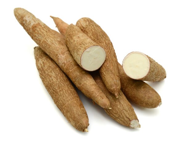 Tubercule de manioc frais pour recettes traditionnelles africaines